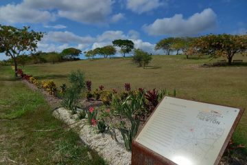 Newton Slave Burial Ground Tour in Barbados